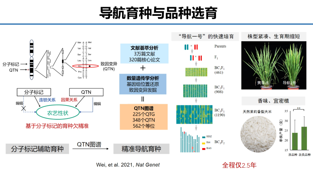 上海师范大学开发的“水稻导航育种与高产优质稻米选育”项目